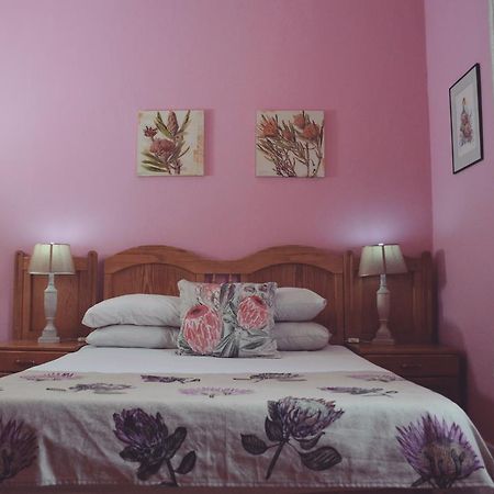 Homebase Melville Backpackers جوهانسبورغ المظهر الخارجي الصورة