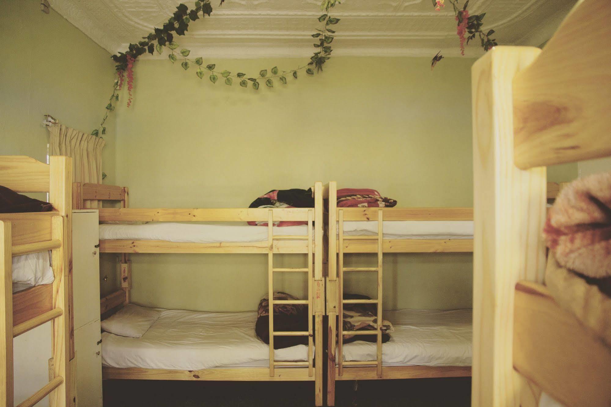 Homebase Melville Backpackers جوهانسبورغ المظهر الخارجي الصورة